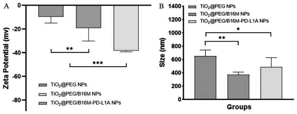 A biomimetic targeting of TIO with a PD-L1-loaded antibody  <sub>2</sub> Nanoparticles and their preparation and use