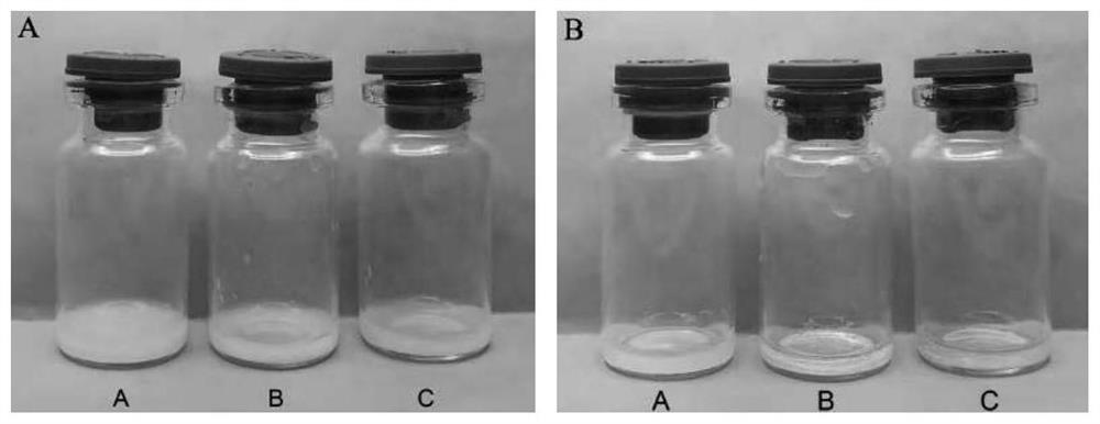 A biomimetic targeting of TIO with a PD-L1-loaded antibody  <sub>2</sub> Nanoparticles and their preparation and use