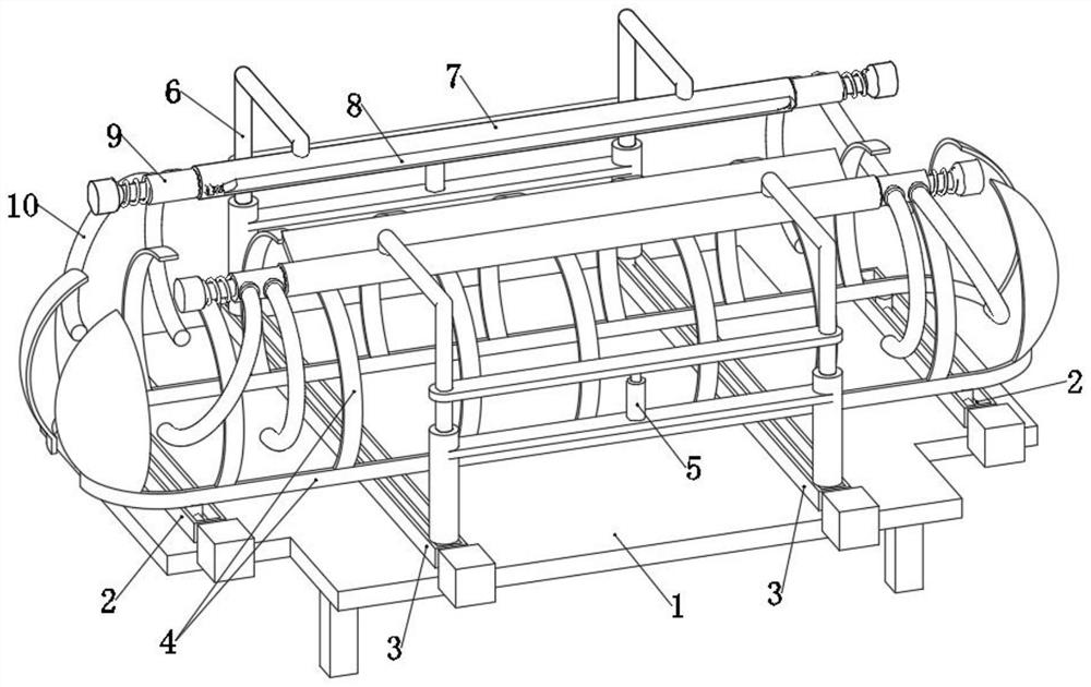 Fixing device for fixing back skin of experimental animal