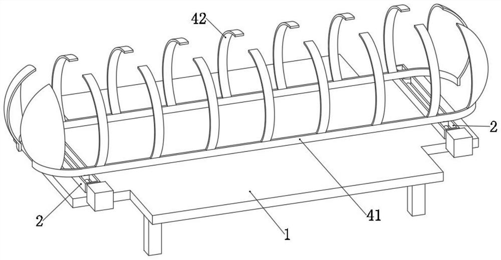 Fixing device for fixing back skin of experimental animal