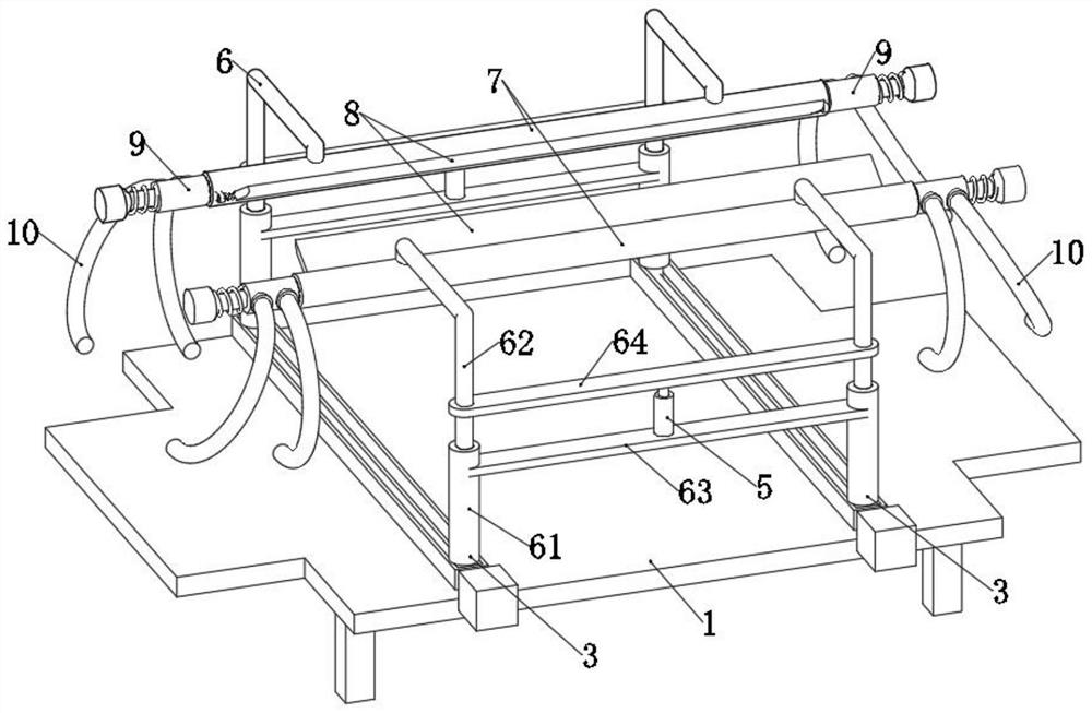 Fixing device for fixing back skin of experimental animal