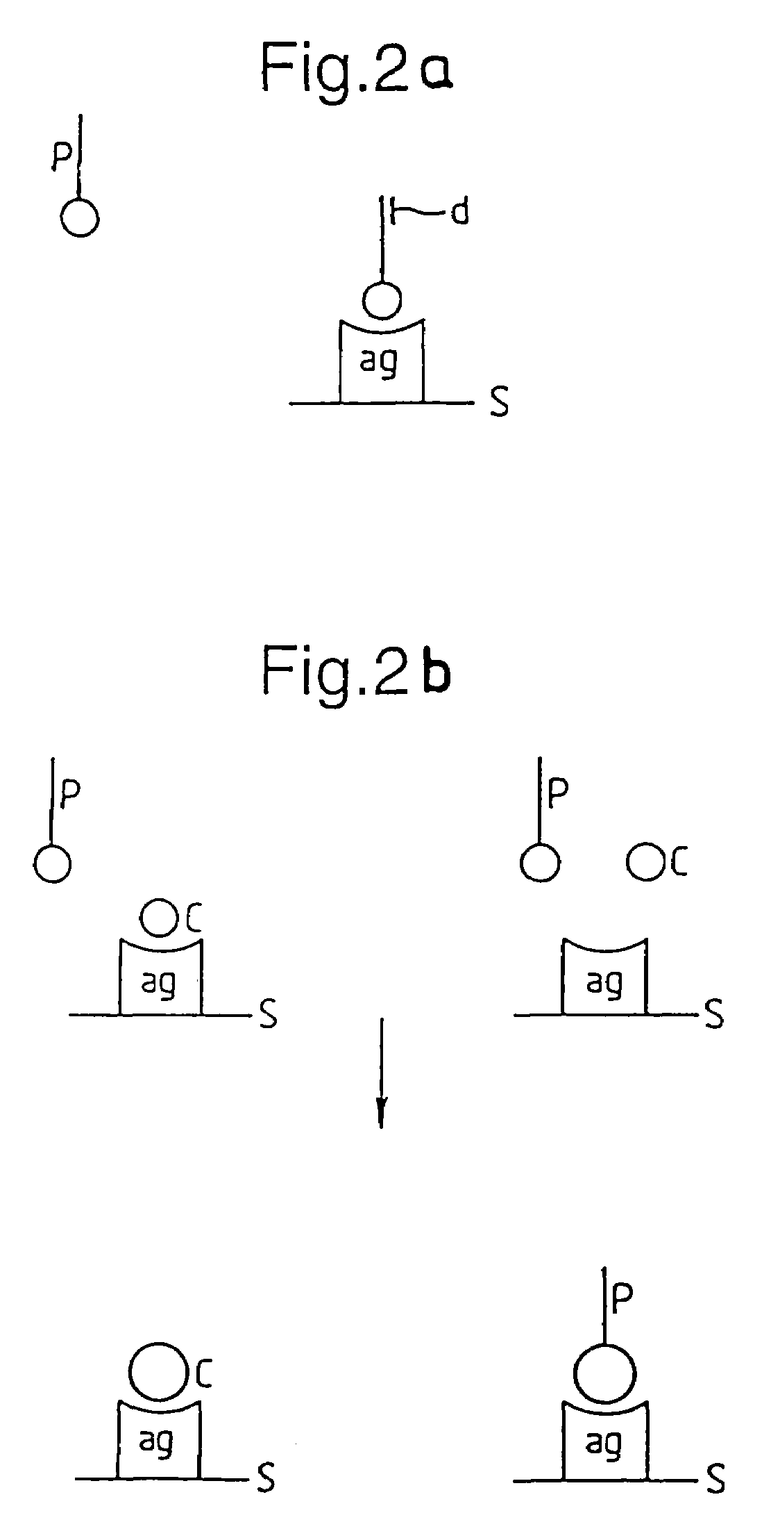 Methods for producing members of specific binding pairs
