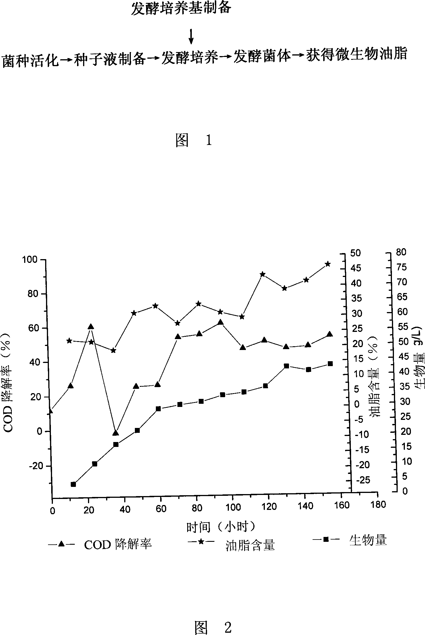 Method for treating industrial waste and fermentation production of microbial oil by microorganism as well as special strain thereof