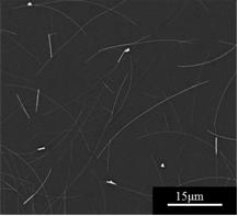 Method for preparing highly ordered silver nanochain structure based on low temperature plasma