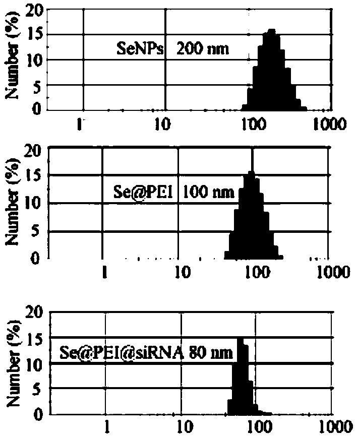 Nano-selenium loaded VP1 gene siRNA and preparation method and application thereof