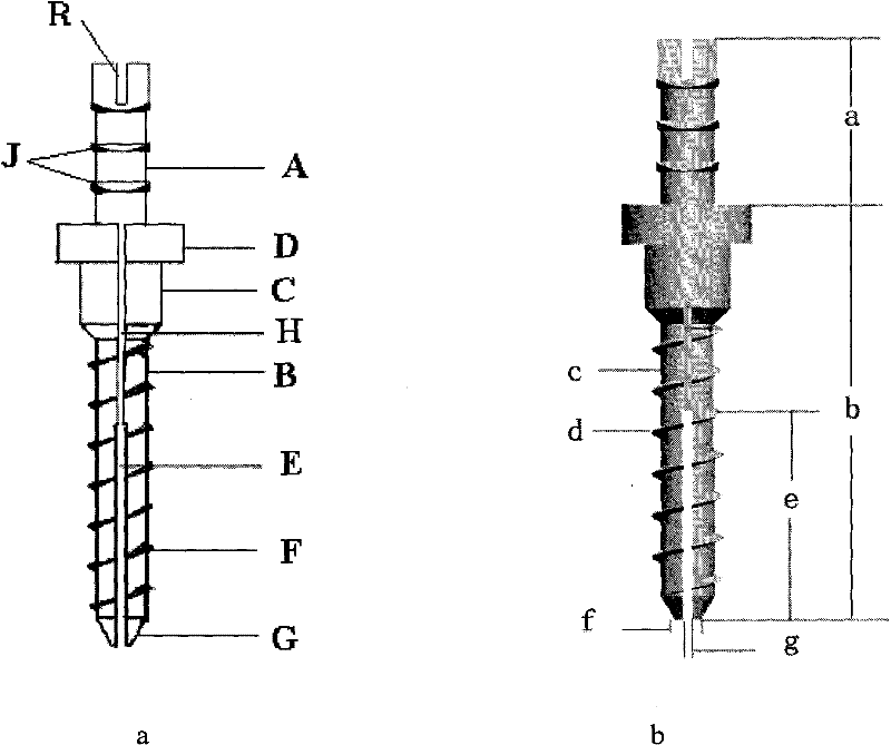 Titanium alloy elastic preformation root canal pile with low elasticity modulus