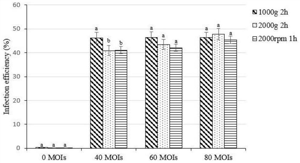 Reagent for virus infection of cells and application thereof