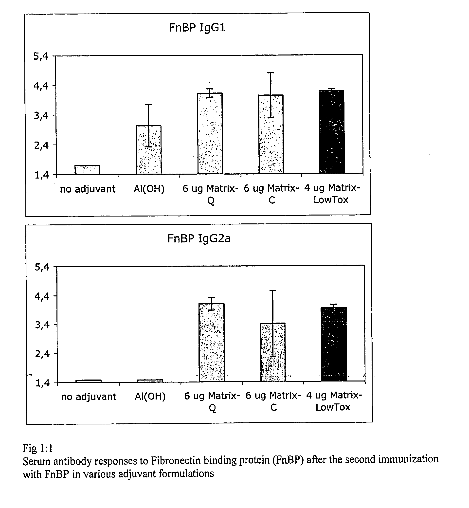 Vaccine Composition Comprising a Fibronectin Binding Protein or a Fibronectin Binding Peptide
