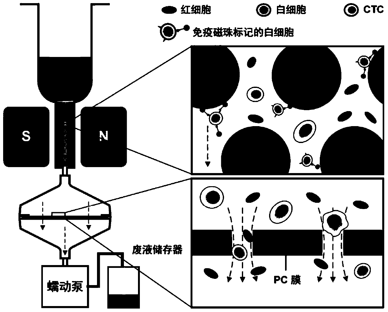 Enriching method and device for circulating tumor cells