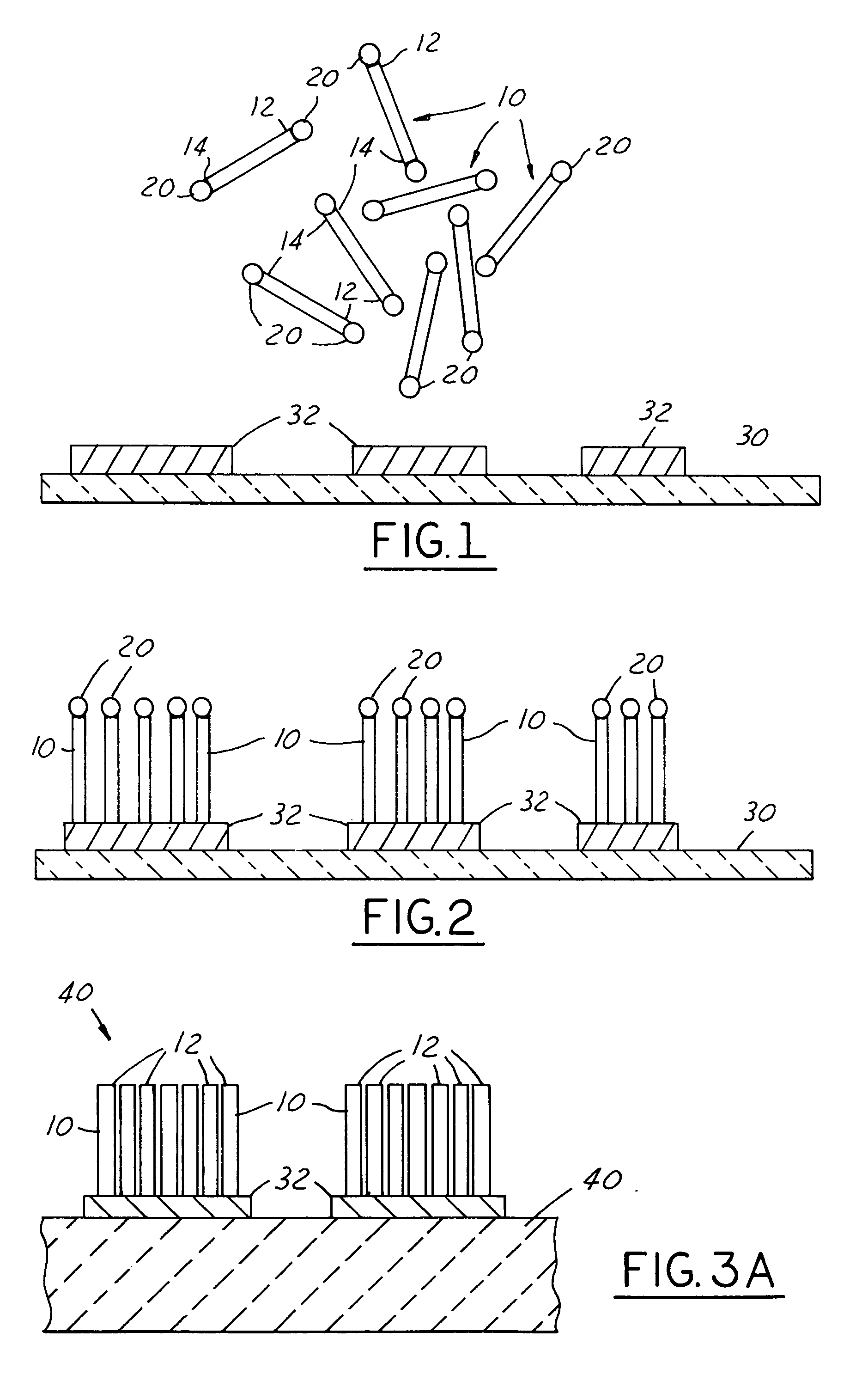 Self-assembled nanometer conductive bumps and method for fabricating