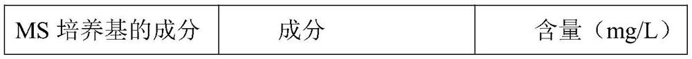 Method for breaking transplanting dormancy of Chinese orchid tissue culture seedlings and shortening production cycle