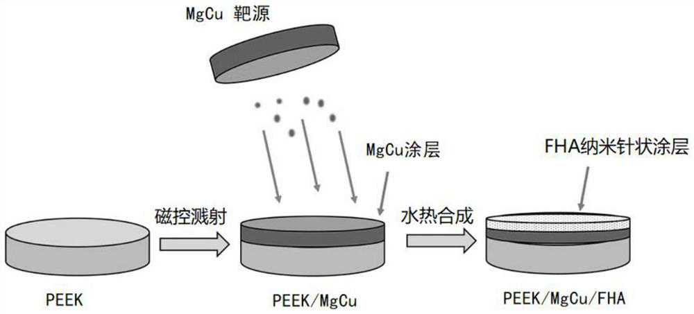 PEEK abutment with nanoneedle interface and preparation method of PEEK abutment