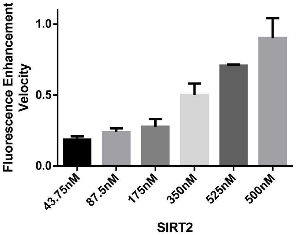 A kind of fluorescent probe and its application in detecting sirt2 enzyme activity