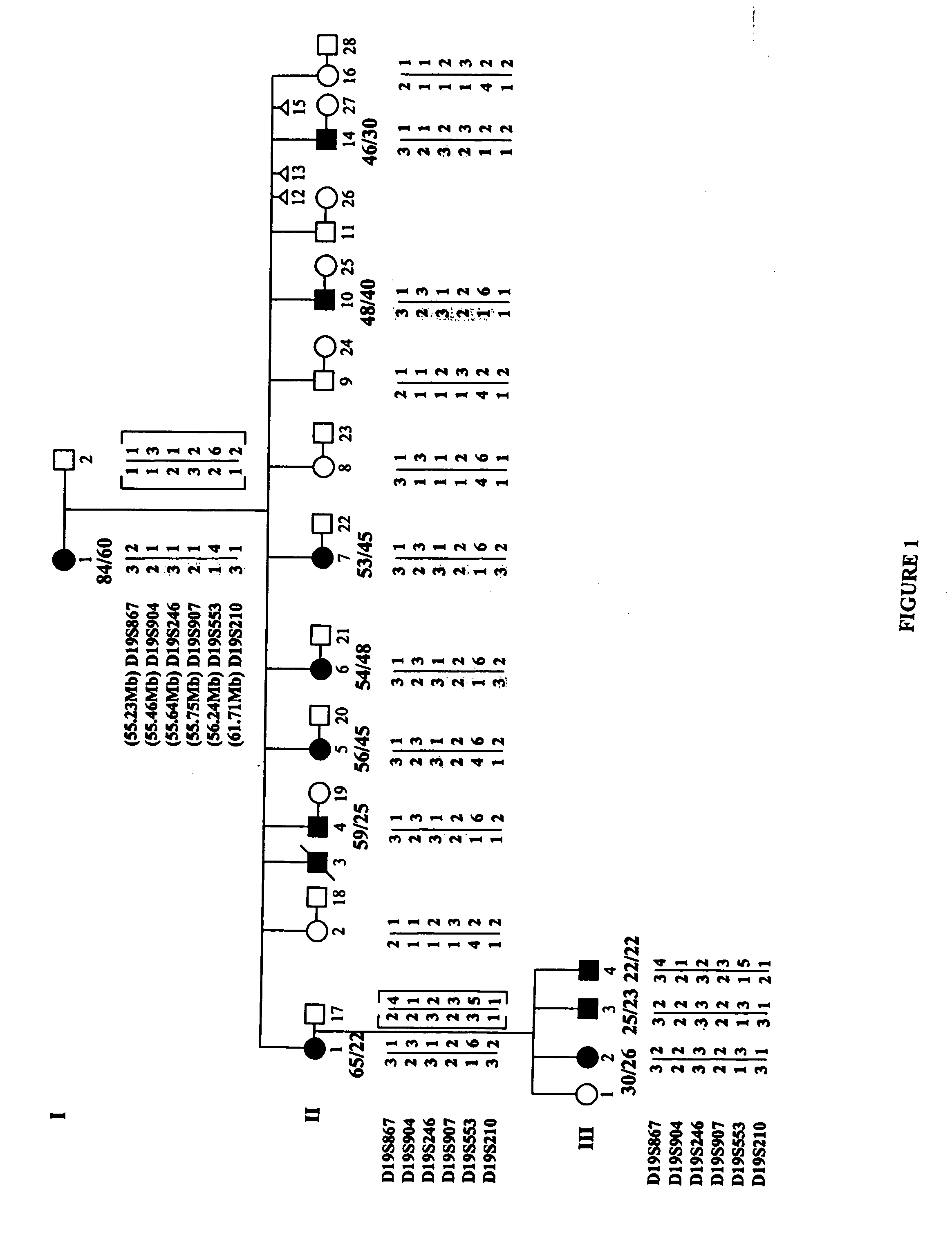 Compositions and methods for spinocerebellar ataxia