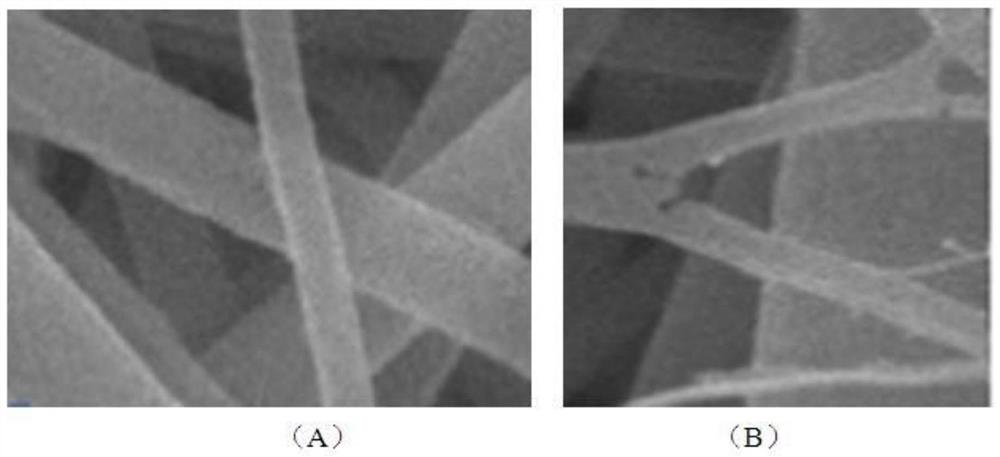 Scaffold for tissue repair, its preparation method and use