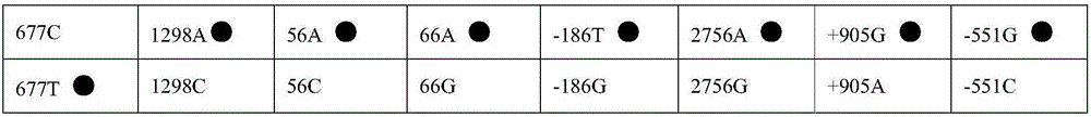 Kit, PCR (polymerase chain reaction) primer and nucleic acid hybridization membrane strip for folic acid metabolism genotyping