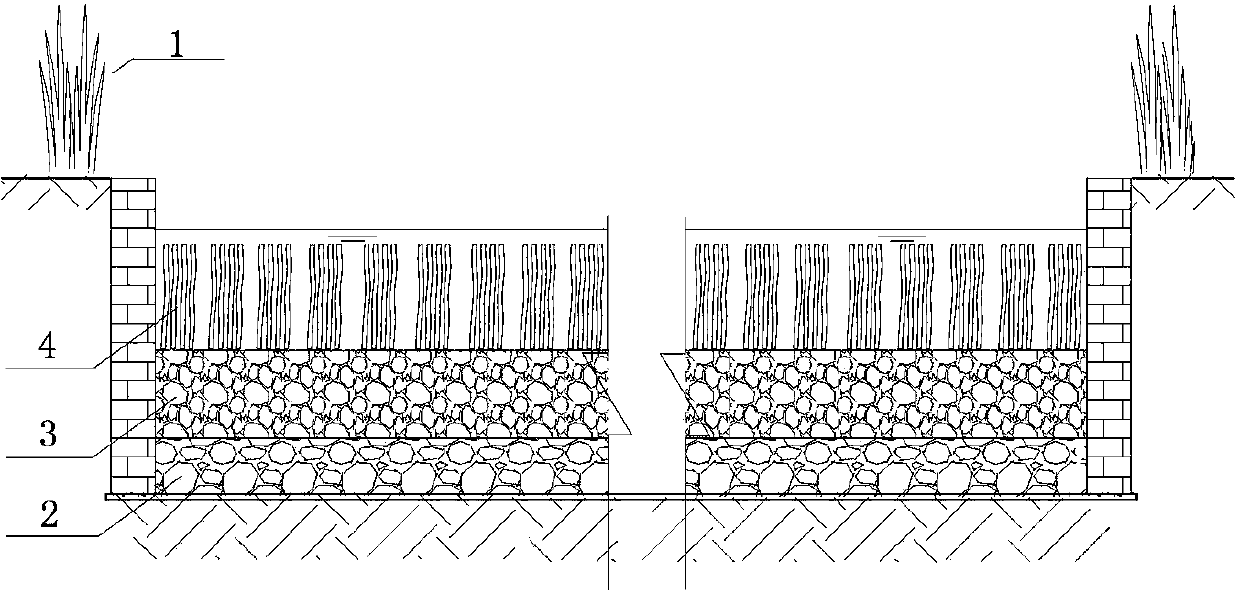 In-situ treatment method for shallow flow rejuvenated water riverway