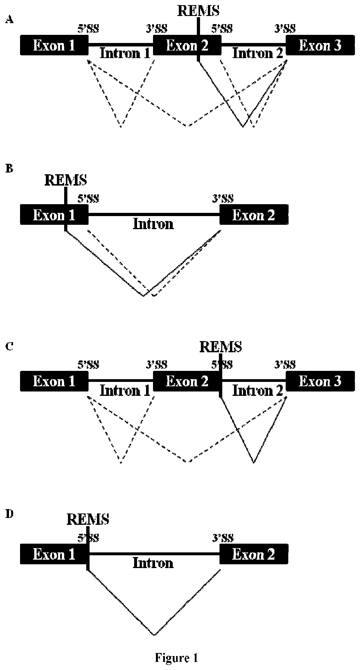 Methods for modulating RNA splicing