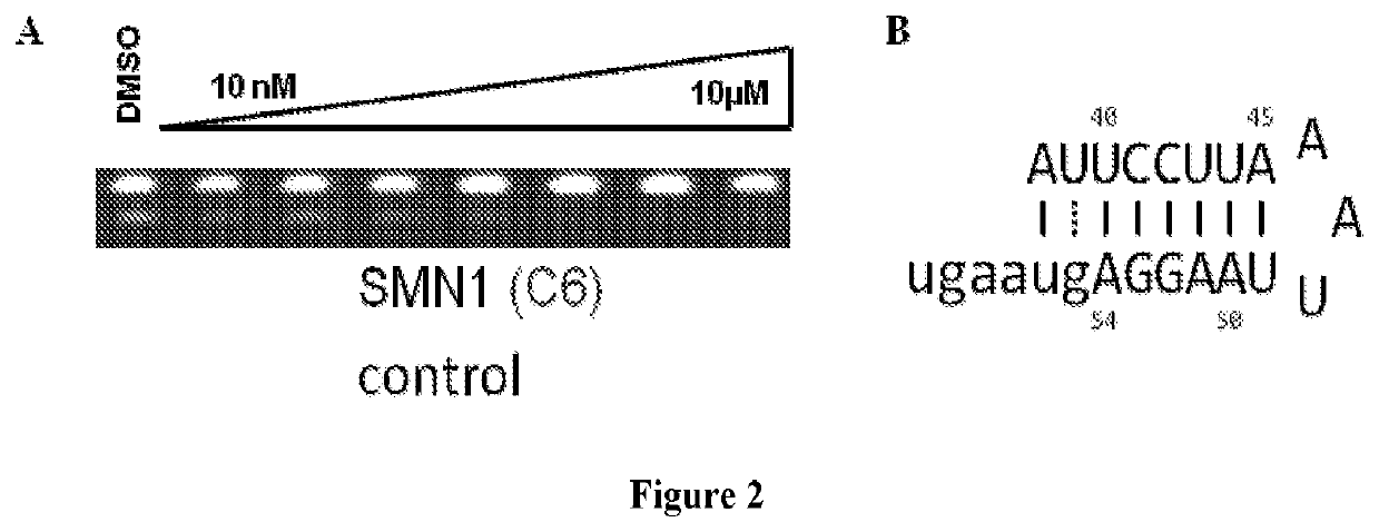 Methods for modulating RNA splicing