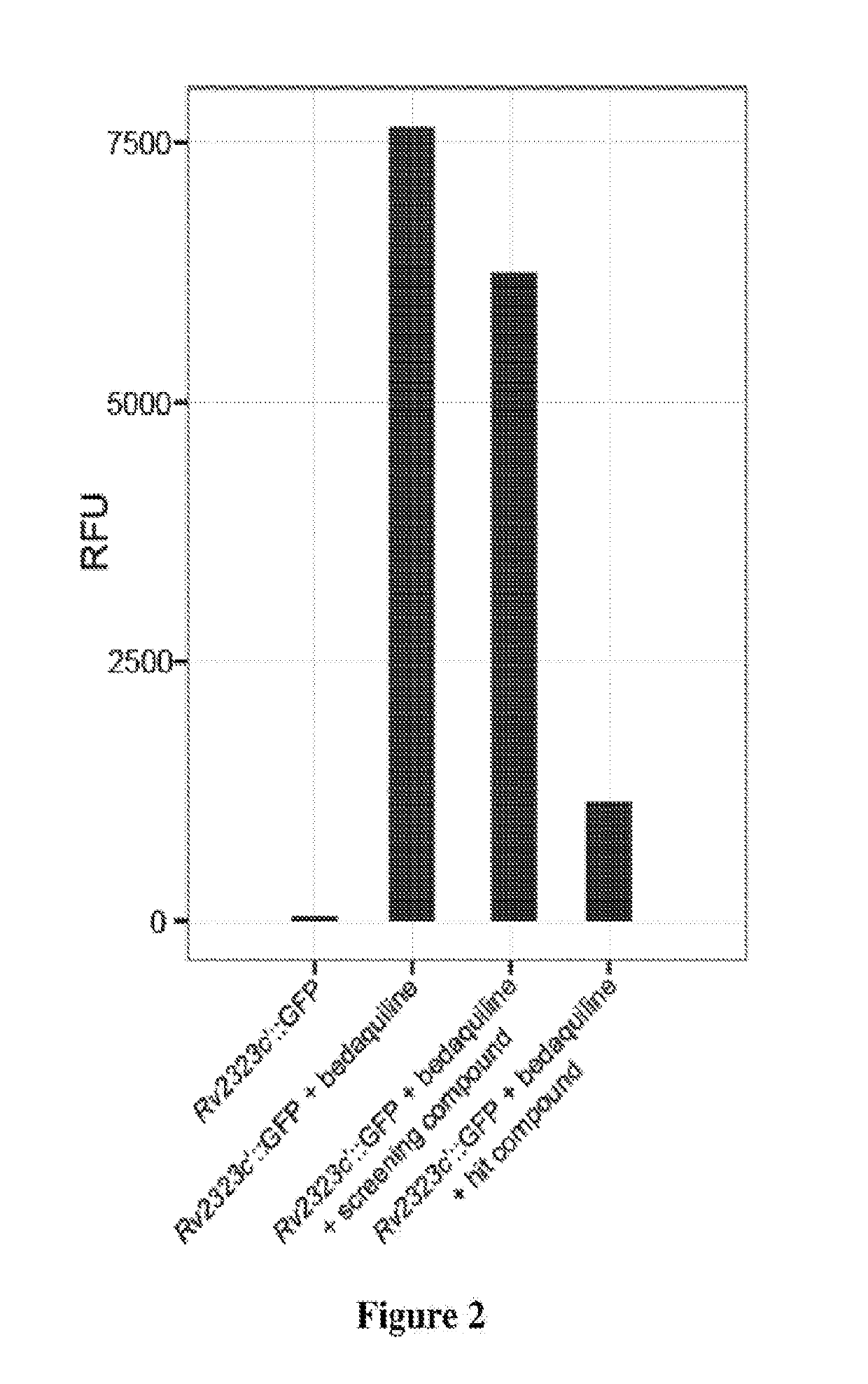 Methods to identify antituberculosis compounds