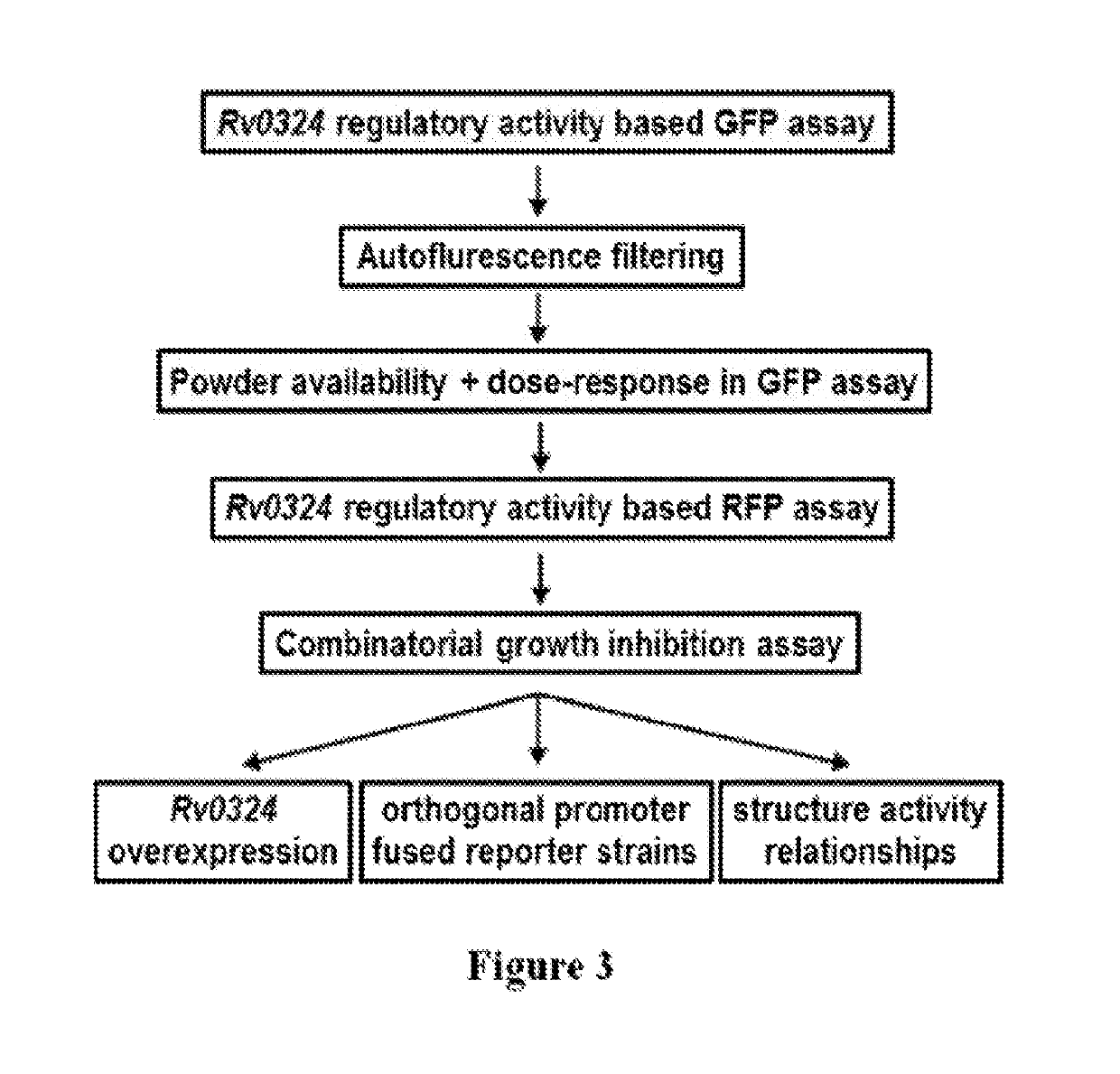 Methods to identify antituberculosis compounds