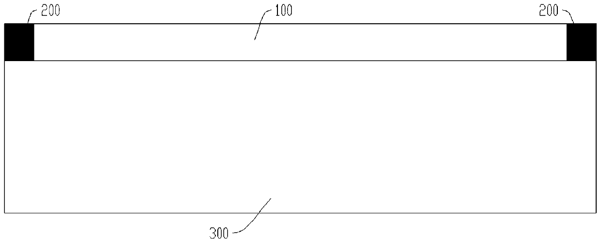 Manufacturing method of film body electrode and film