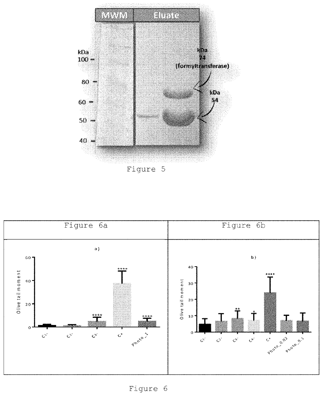 Genetically modified bacteria producing three DNA repair enzymes and method for the evaluation of DNA repair activity