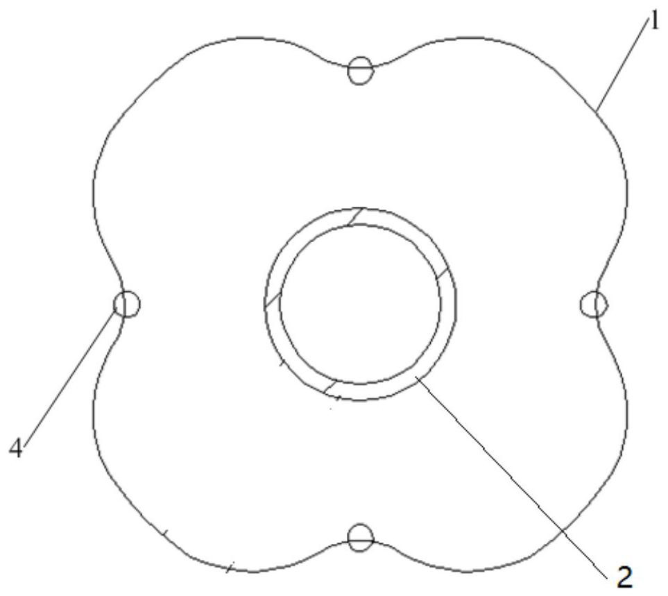 Balloon for drug elution instrument and drug elution instrument