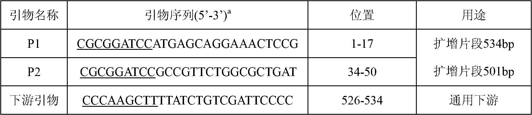 Bacteria-cracking preparation for effectively cracking escherichia coli as well as cracking method and application thereof