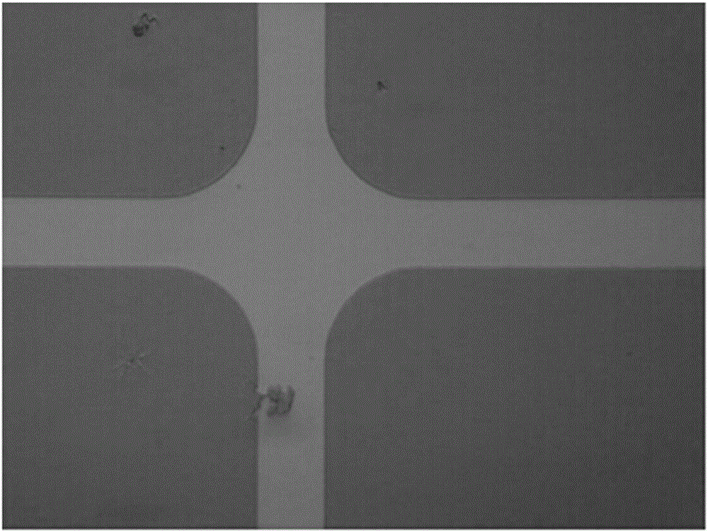 Method for preparing plasma enhanced chemical vapor deposition (PECVD) silicon nitride protective film on surface of photoetching mask