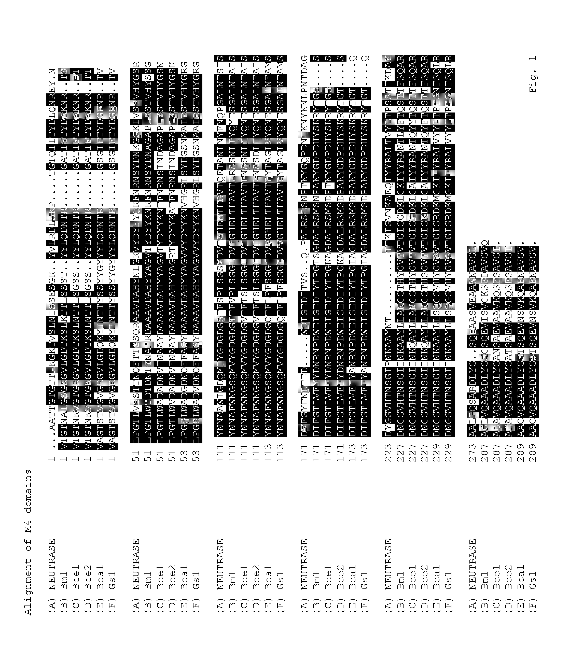 Detergent Compositions Comprising Metalloproteases