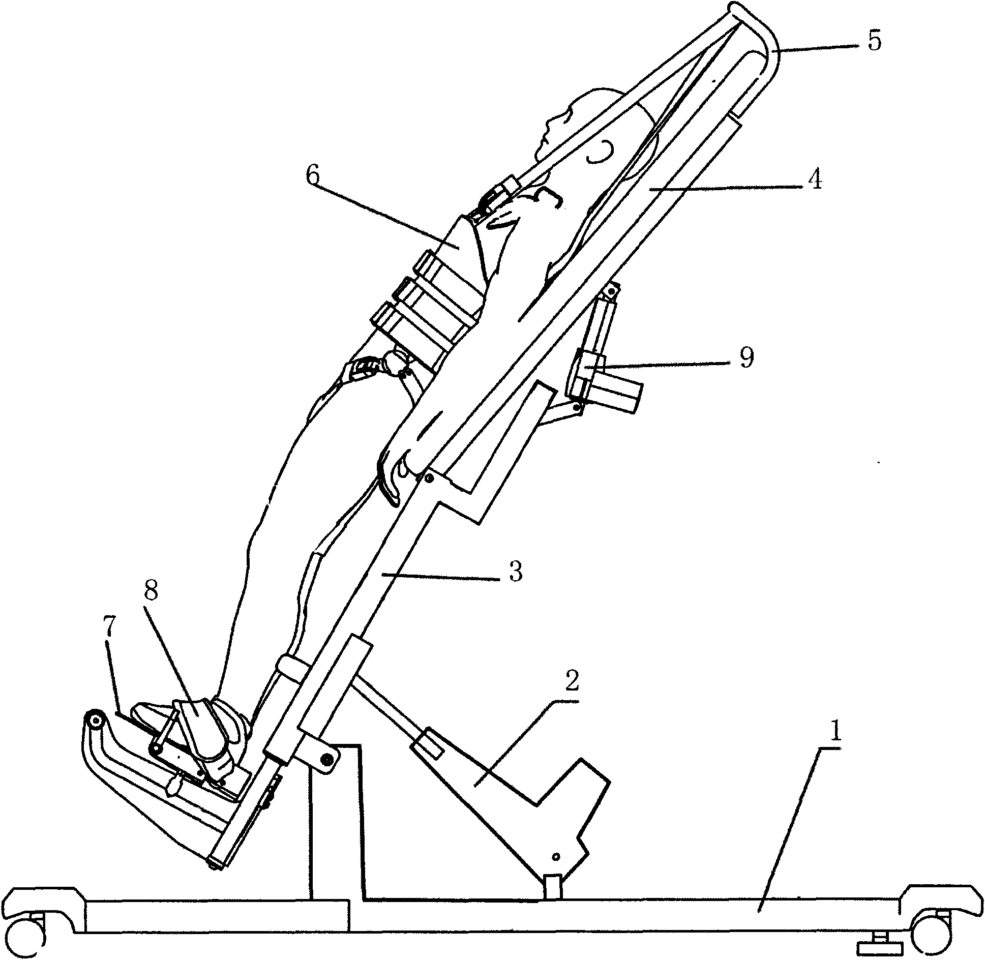 Standing bed with back-lying function