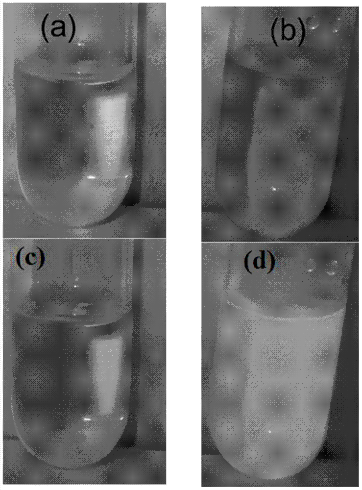 Water-sensitive fluorescent enhanced test paper and its preparation method and application