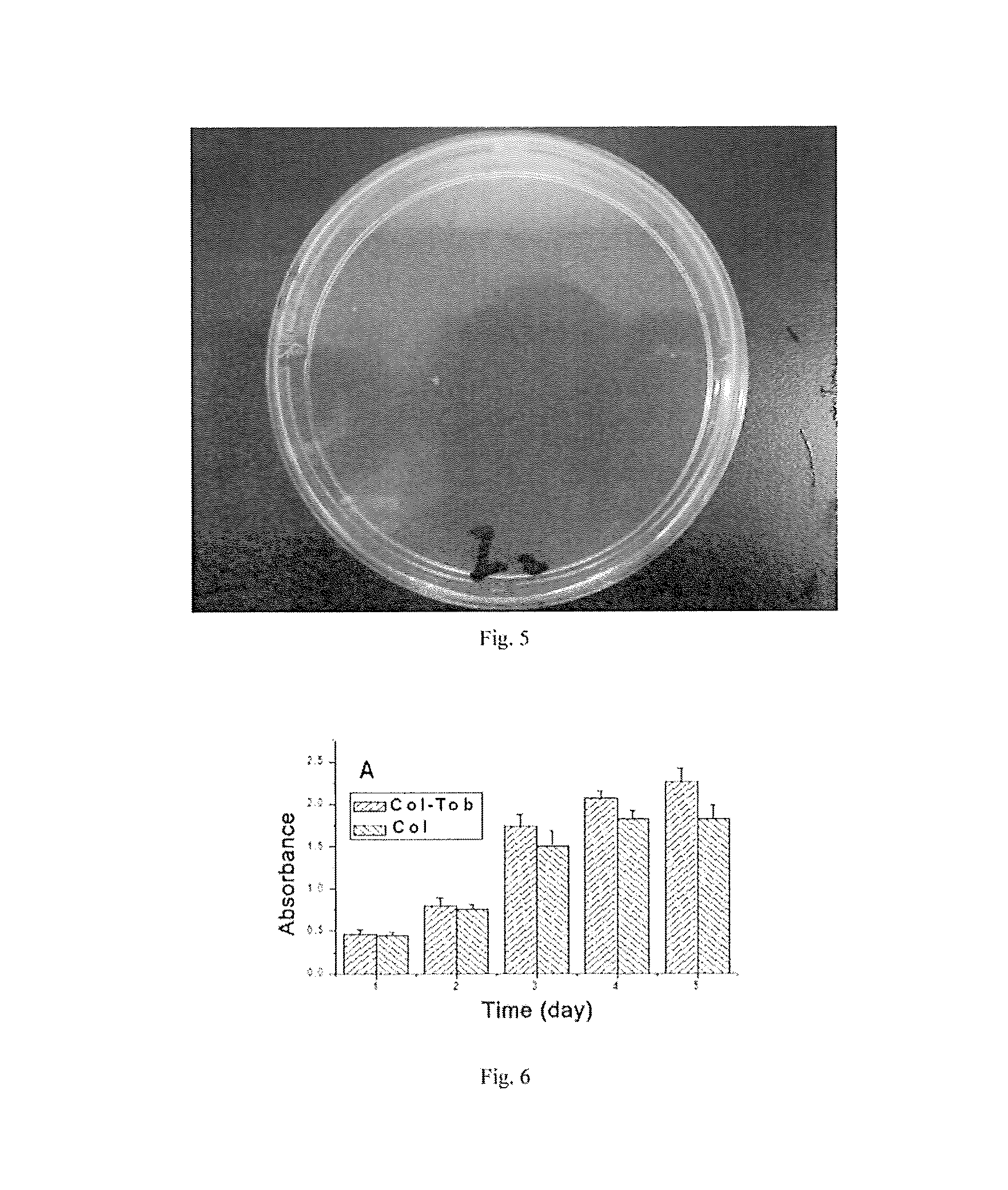 Antibacterial cornea repair material and preparation method thereof