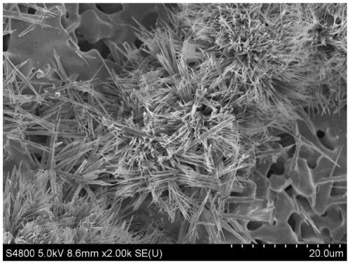 Modified cordierite porous ceramic material and preparation method and application thereof