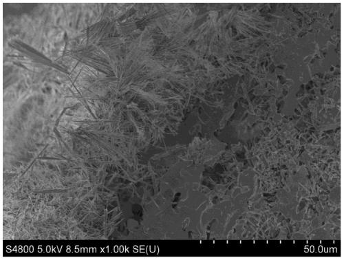 Modified cordierite porous ceramic material and preparation method and application thereof