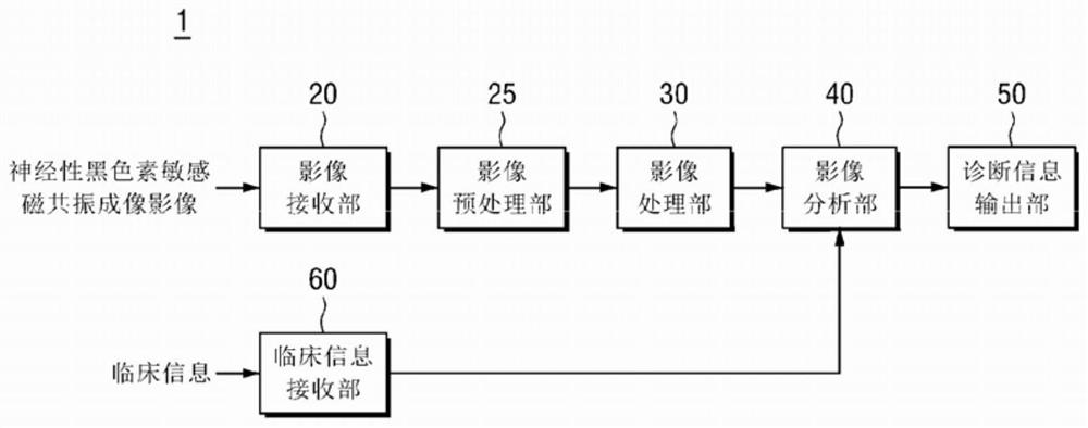 Device and system for providing Parkinson's disease information using neuromelanin image