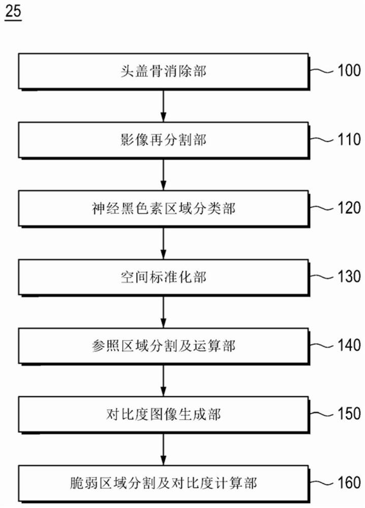 Device and system for providing Parkinson's disease information using neuromelanin image