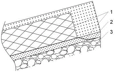 Asphalt pavement additionally laid with rib net