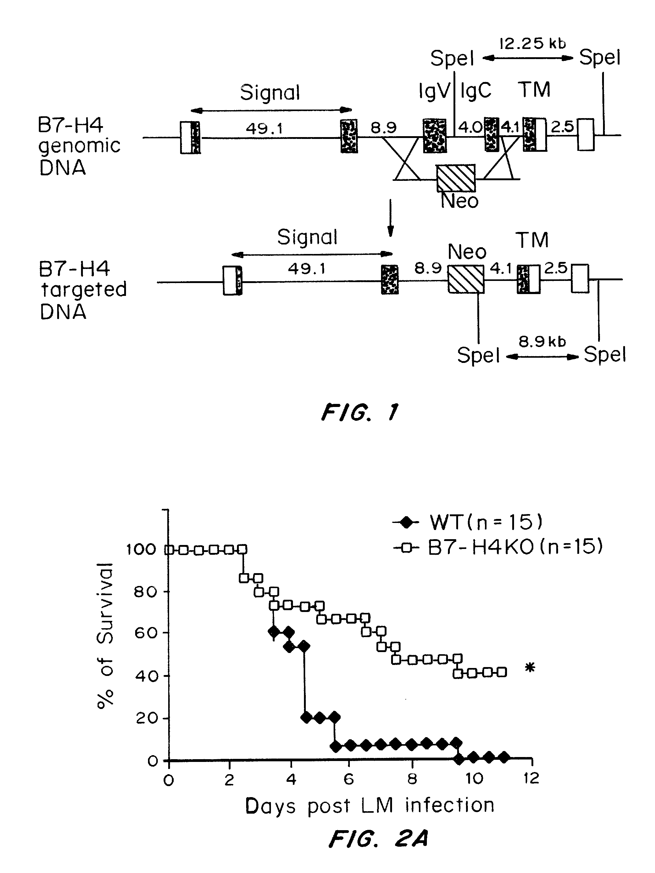 Compositions and methods for treating inflammation and auto-immune diseases