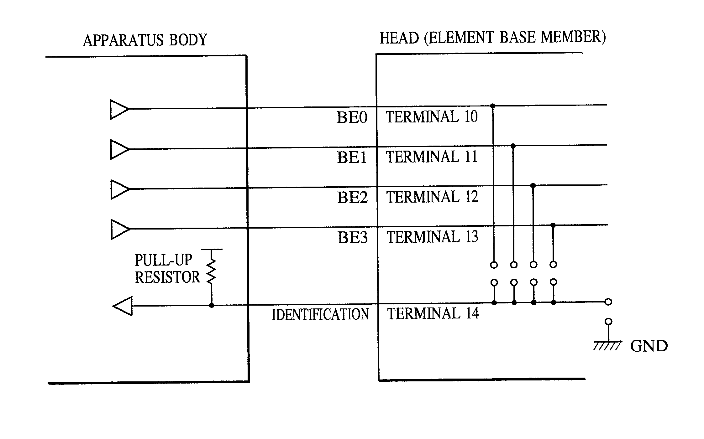 Head, recording apparatus having the head, method for identifying the head, and method for giving identification information to the head