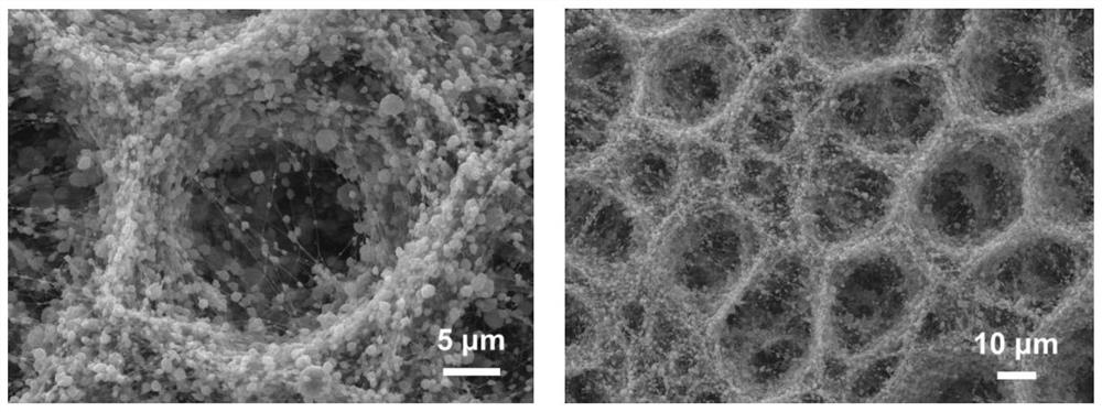 A high specific surface area honeycomb structure-like nanofiber material and its preparation method