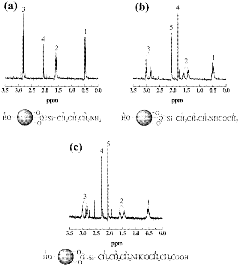 Surface modification method of nanometer hydroxyapatite mediated by APTS