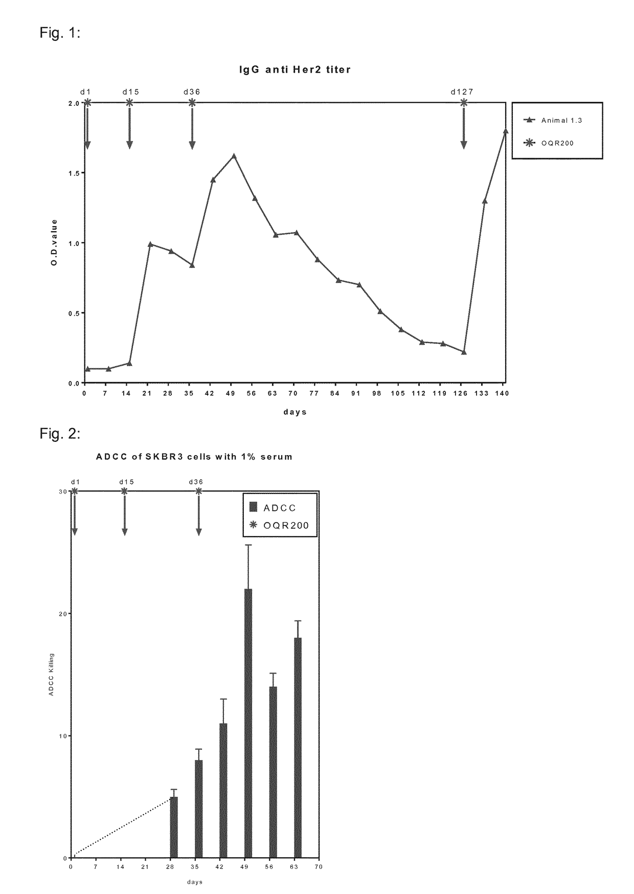 Her2/neu immunogenic composition