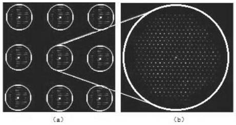 Light field camera calibration method for three-dimensional topography measurement
