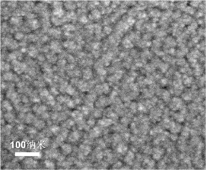 Photoelectrode material of nanometer porous metal load semiconductor and preparation method thereof
