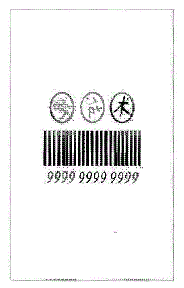 A symmetrical dynamic authentic anti-counterfeit system and anti-counterfeit method