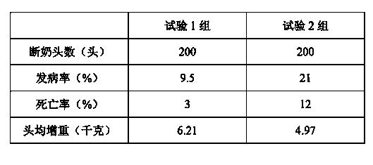 Traditional Chinese medicine composition for preventing piglet dysentery and preparation method thereof