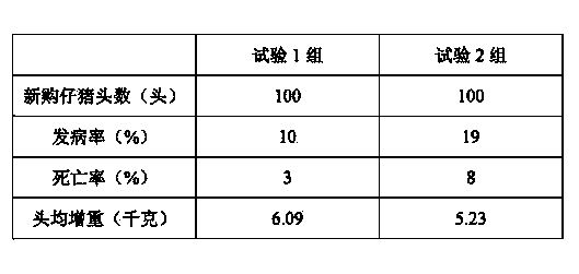 Traditional Chinese medicine composition for preventing piglet dysentery and preparation method thereof