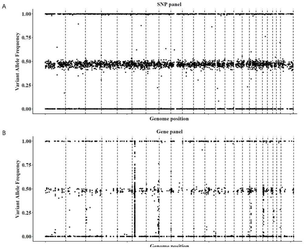 Method for screening SNP (Single Nucleotide Polymorphism) sites and application thereof